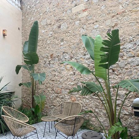 Villa Les Fougeres Studio Jardin Cannes Exterior foto